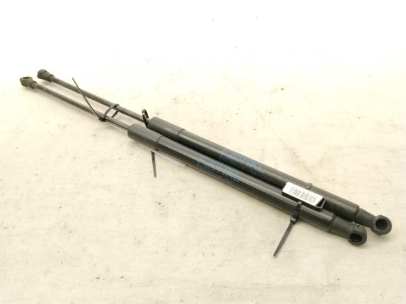 51247239871 AMORTIGUADOR PORTON / TAPA MALETA BMW 1 (F20)|Desguaces La Cabaña