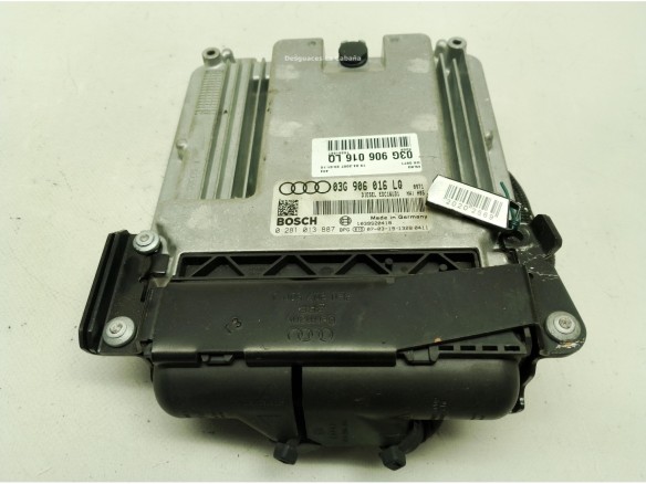 03G906016LQ CENTRALITA MOTOR AUDI A4 (8EC, B7)|Desguaces La Cabaña