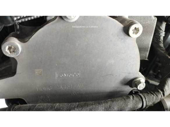 B7DA MOTOR FORD FOCUS IV (HN)|Desguaces La Cabaña