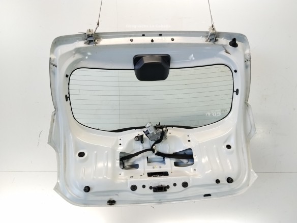 901003145R PORTON DACIA SANDERO II|Desguaces La Cabaña