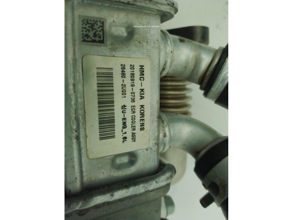 284162U001, 284602U001 ENFRIADOR EGR KIA CEED Sportswagon (CD)|Desguaces La Cabaña