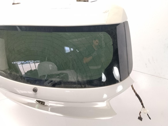 41007305470 PORTON BMW 1 (F20)|Desguaces La Cabaña