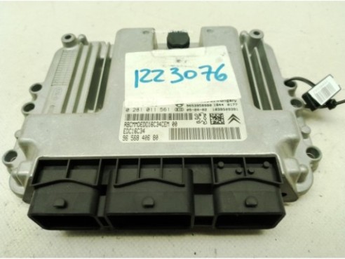 0281011561,965840680, CENTRALITA MOTOR CITROEN C5 I (DC_)|Desguaces La Cabaña