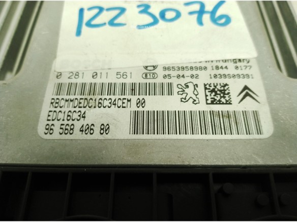 0281011561,965840680, CENTRALITA MOTOR CITROEN C5 I (DC_)|Desguaces La Cabaña