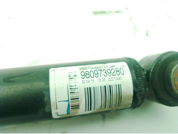 9809739280 AMORTIGUADOR TRA IZQ CITROEN C4 CACTUS|Desguaces La Cabaña