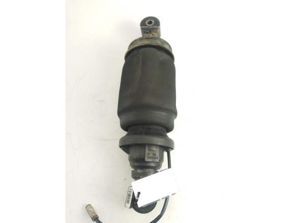 81417226053 9640050010 BALONA SUSPENSION DEL IZQ  MAN TGA|Desguaces La Cabaña