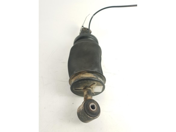 81417226053 9640050010 BALONA SUSPENSION DEL IZQ  MAN TGA|Desguaces La Cabaña
