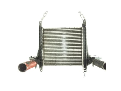 D0834LFL55 MOTOR  MAN TGL|Desguaces La Cabaña