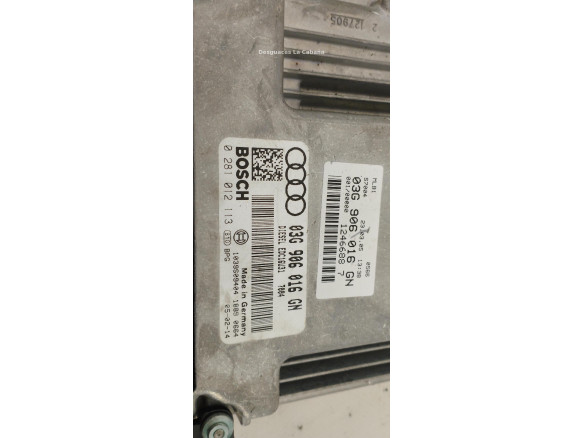03G906016GN CENTRALITA MOTOR AUDI A4 (8EC, B7) |Desguaces La Cabaña