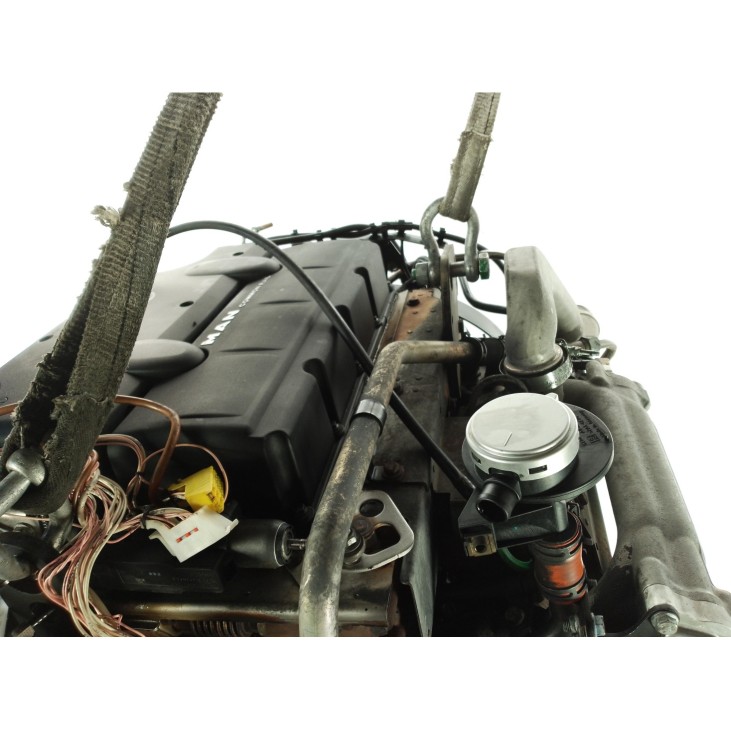 D0834LFL55 MOTOR  MAN TGL|Desguaces La Cabaña