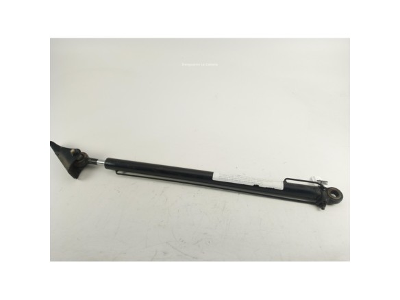 81978122319 PISTON ELEVAR CABINA MAN TGX II|Desguaces La Cabaña