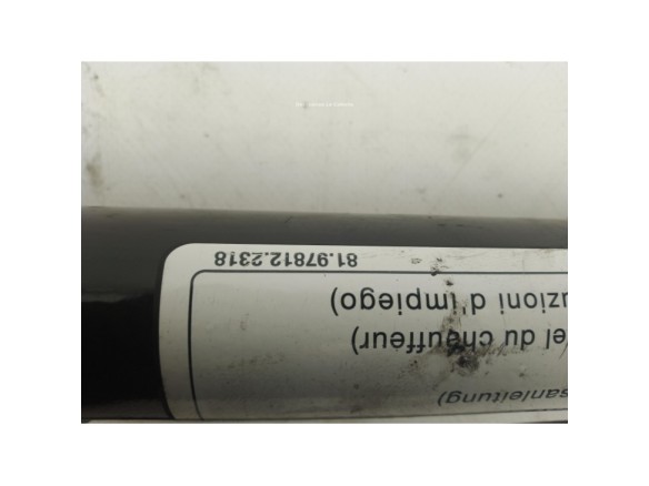 81978122318 PISTON ELEVAR CABINA MAN TGL|Desguaces La Cabaña
