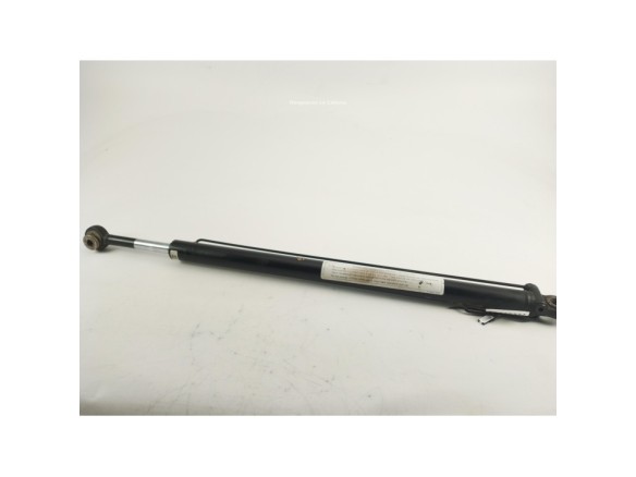 81978122319 PISTON ELEVAR CABINA MAN TGX II|Desguaces La Cabaña