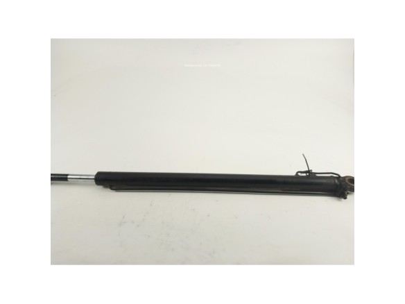 81978122319 PISTON ELEVAR CABINA MAN TGX II|Desguaces La Cabaña