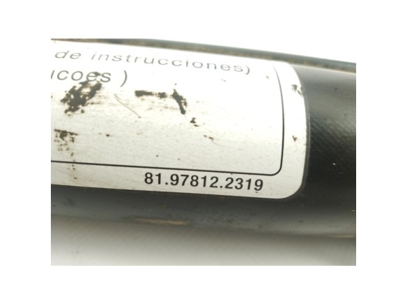 81978122319 PISTON ELEVAR CABINA MAN TGX II|Desguaces La Cabaña