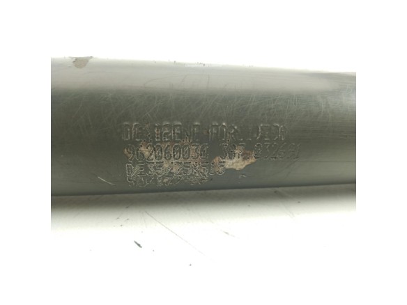 962060030 PISTON ELEVAR CABINA IVECO EuroCargo|Desguaces La Cabaña