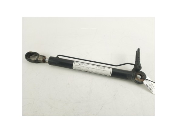 81978110042 PISTON ELEVAR CABINA MAN M 2000 L|Desguaces La Cabaña