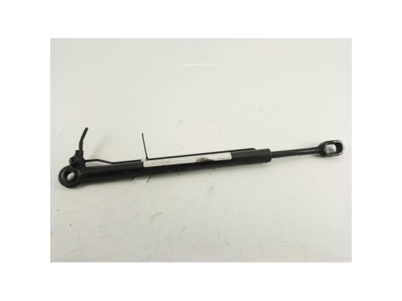 81978122319 PISTON ELEVAR CABINA MAN TGX II|Desguaces La Cabaña