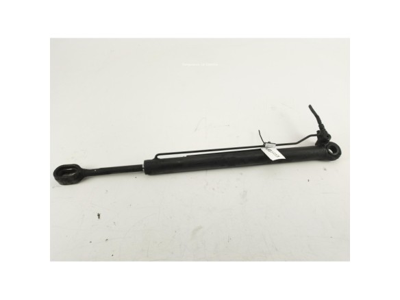 81978122319 PISTON ELEVAR CABINA MAN TGX II|Desguaces La Cabaña