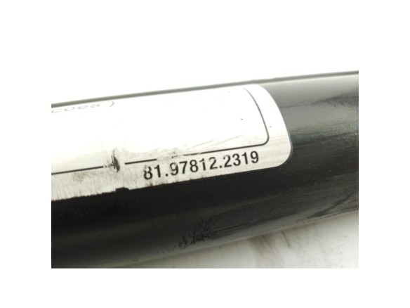 81978122319 PISTON ELEVAR CABINA MAN TGX II|Desguaces La Cabaña