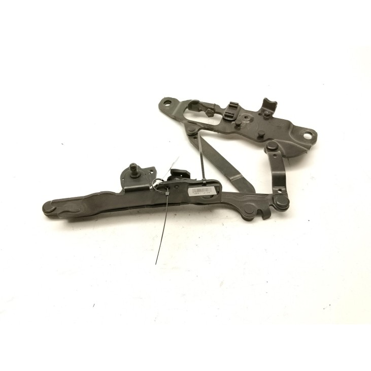   BISAGRA CAPO IZQ BMW 5 (F10)|Desguaces La Cabaña