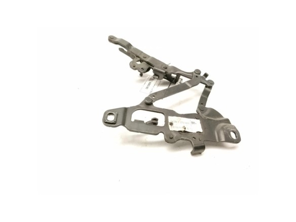  BISAGRA CAPO IZQ BMW 5 (F10)|Desguaces La Cabaña