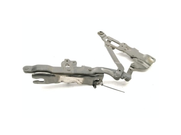   BISAGRA CAPO DER BMW 5 (F10)|Desguaces La Cabaña