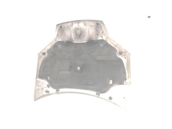 651000021R CAPO RENAULT LAGUNA III (BT0/1)|Desguaces La Cabaña