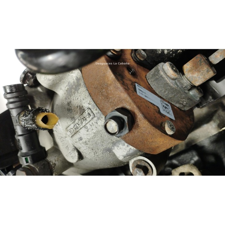 K9KA800 MOTOR RENAULT KANGOO Express (FW0/1_)|Desguaces La Cabaña
