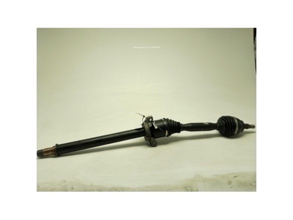 640941 PALIER DEL DER MERCEDES BENZ CLASE A (W169)|Desguaces La Cabaña