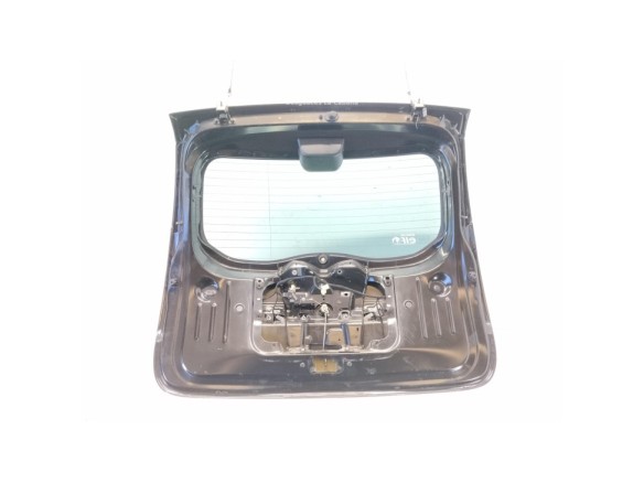 901005006R PORTON DACIA DUSTER|Desguaces La Cabaña