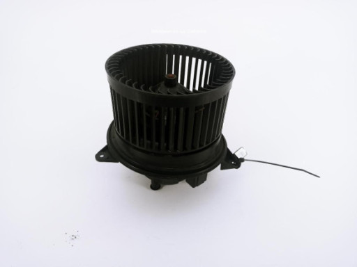 3XEP319009 AIRBAG DER FORD FOCUS (DAW, DBW)|Desguaces La Cabaña