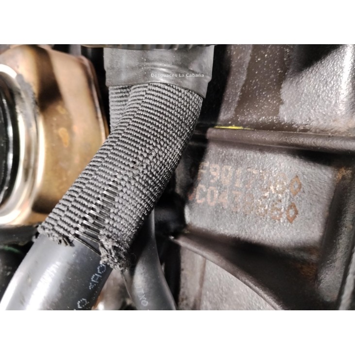 F9Q1758 MOTOR RENAULT LAGUNA II (BG0/1_)|Desguaces La Cabaña