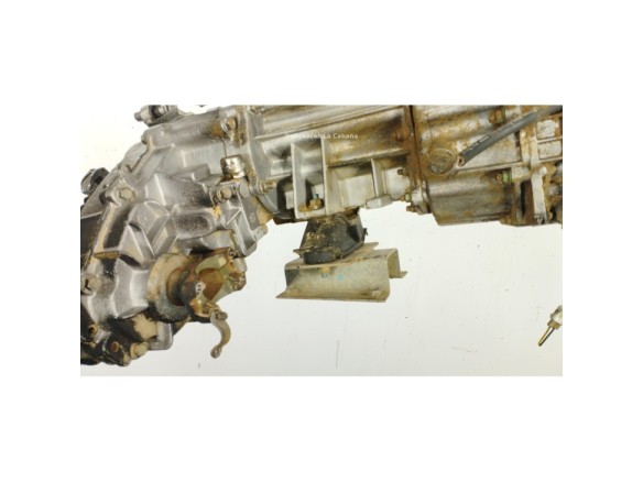 DW12DD CAJA CAMBIOS TATA SAFARI (42_FD)|Desguaces La Cabaña