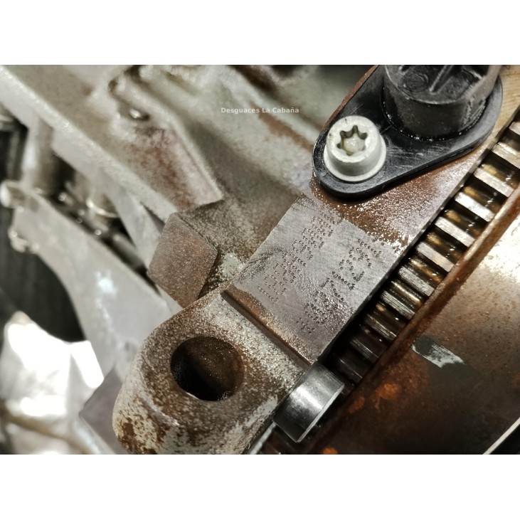 188A9000 MOTOR FIAT DOBLO Cargo (223_)|Desguaces La Cabaña