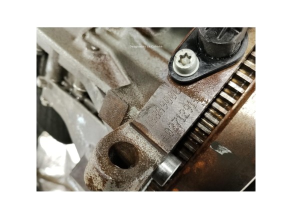 188A9000 MOTOR FIAT DOBLO Cargo (223_)|Desguaces La Cabaña