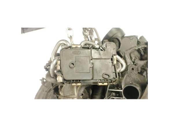 CPG MOTOR SEAT Mii (KF1)|Desguaces La Cabaña