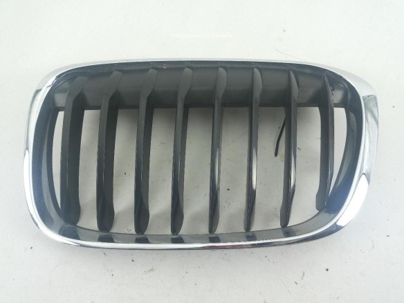 REJILLA RIÑON IZQ BMW X1 (F48) |Desguaces La Cabaña