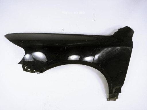 ALETA DELANTERA IZQUIERDA|Desguaces La Cabaña