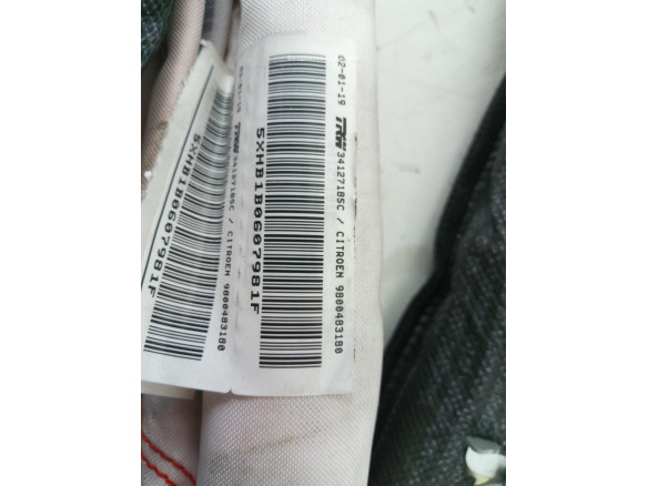 9800483180 AIRBAG CORTINA DER CITROEN C4 SPACETOURER |Desguaces La Cabaña