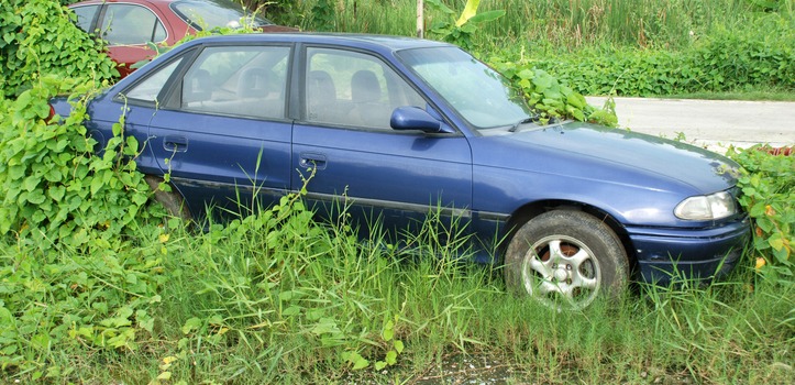  Cómo dar de baja un coche abandonado